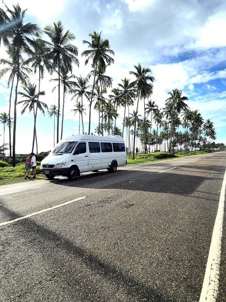 Mercedes Benz Sprinter en carretera entre palmeras