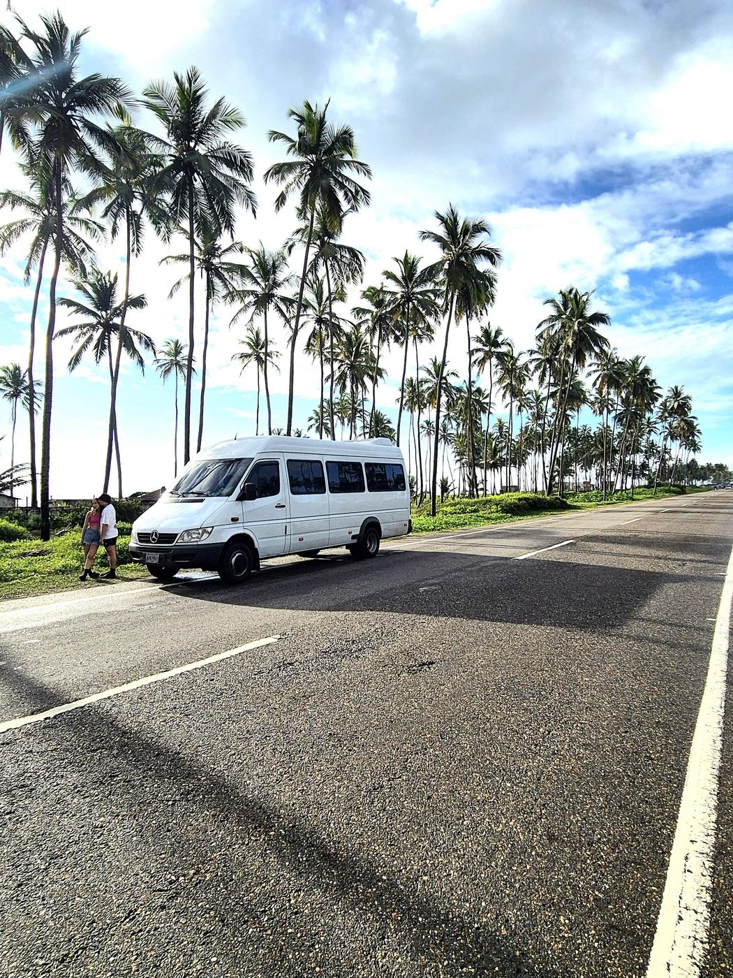 Mercedes Sprinter en carretera entre palmeras